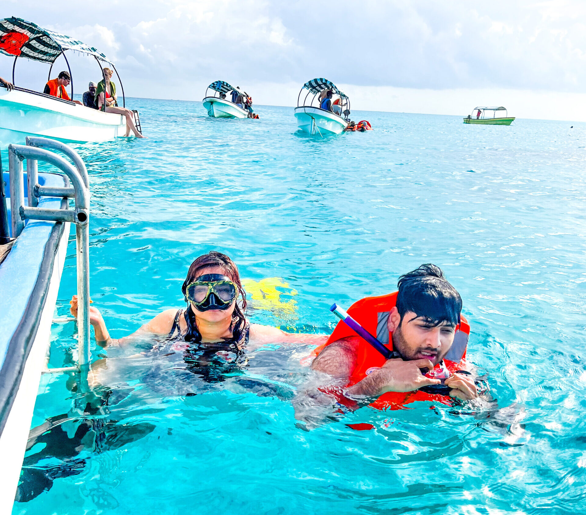Dolphin Tour Experience
