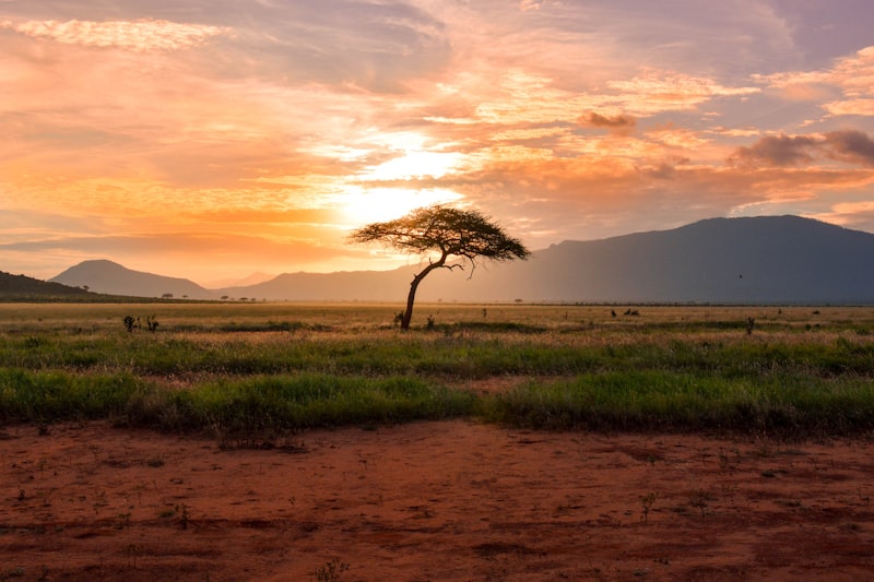 Serengeti National Park Safari